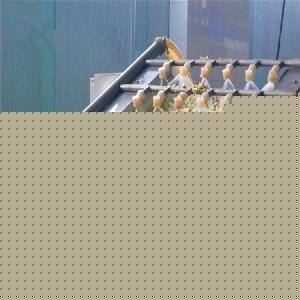 洋槐花市場(chǎng)綜述 價(jià)格、品牌廠家與預(yù)包裝食品批發(fā)指南